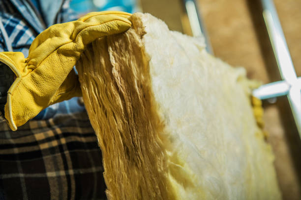 Professional Insulation Contractor in AR