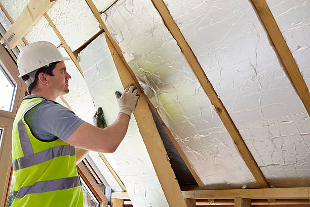 Best Commercial Insulation in Little Flock, AR